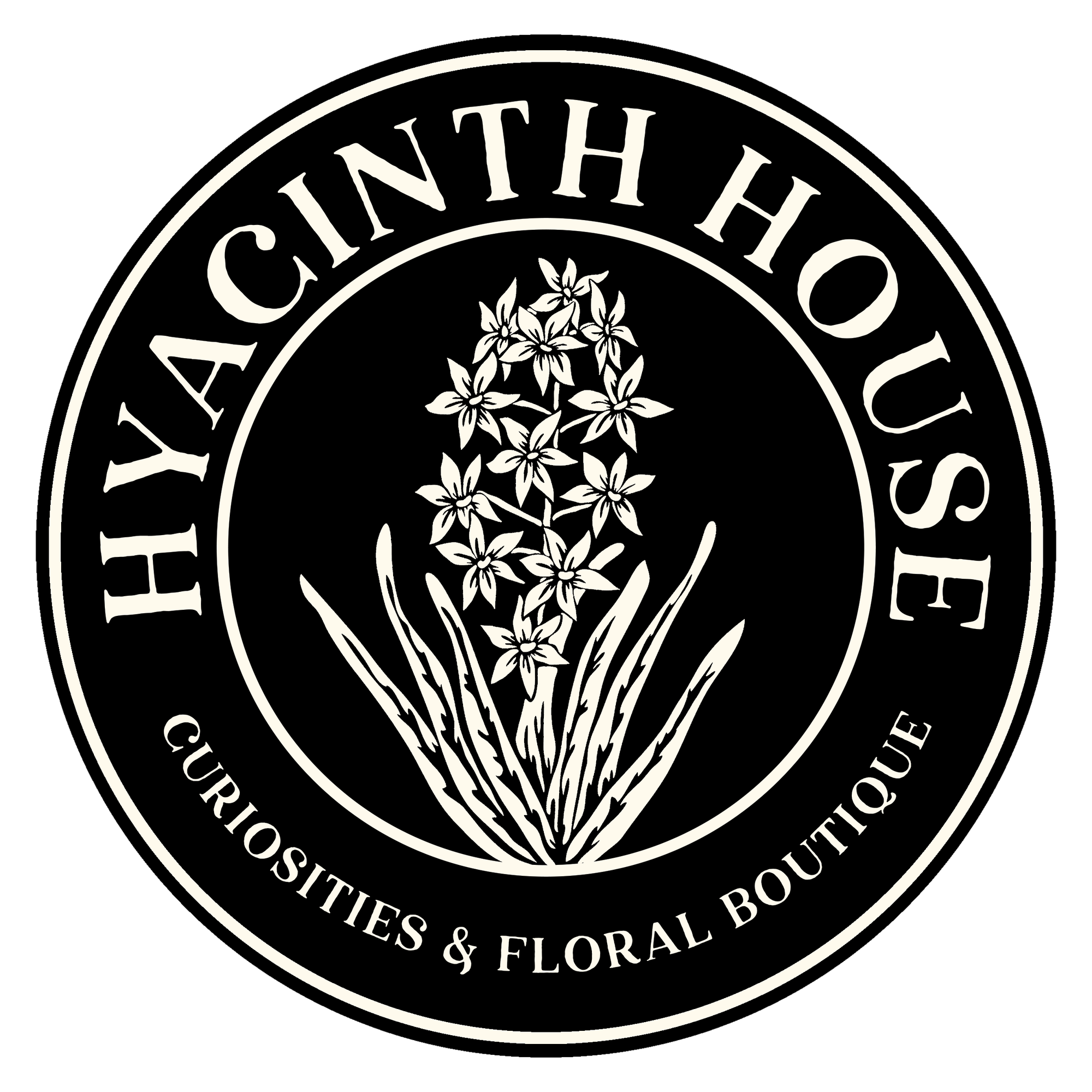 Home Hyacinth House Curiosities